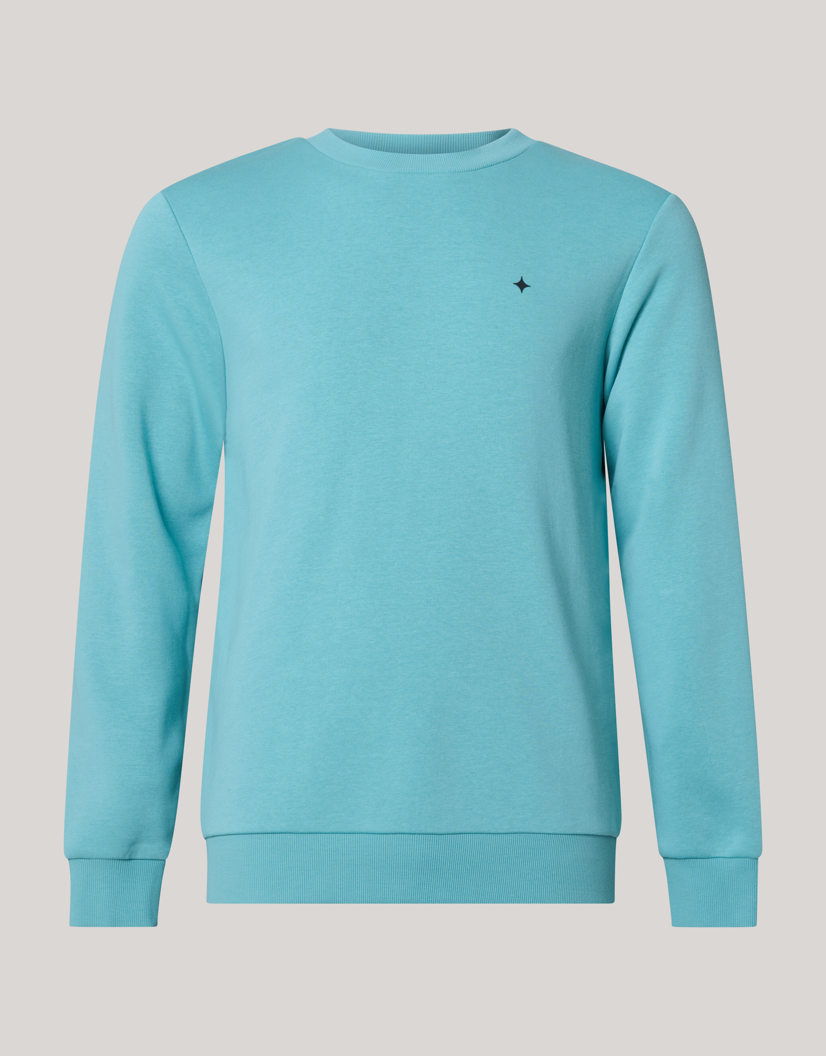 Sparkle Sweater Lichtgroen SHOEBY MEN