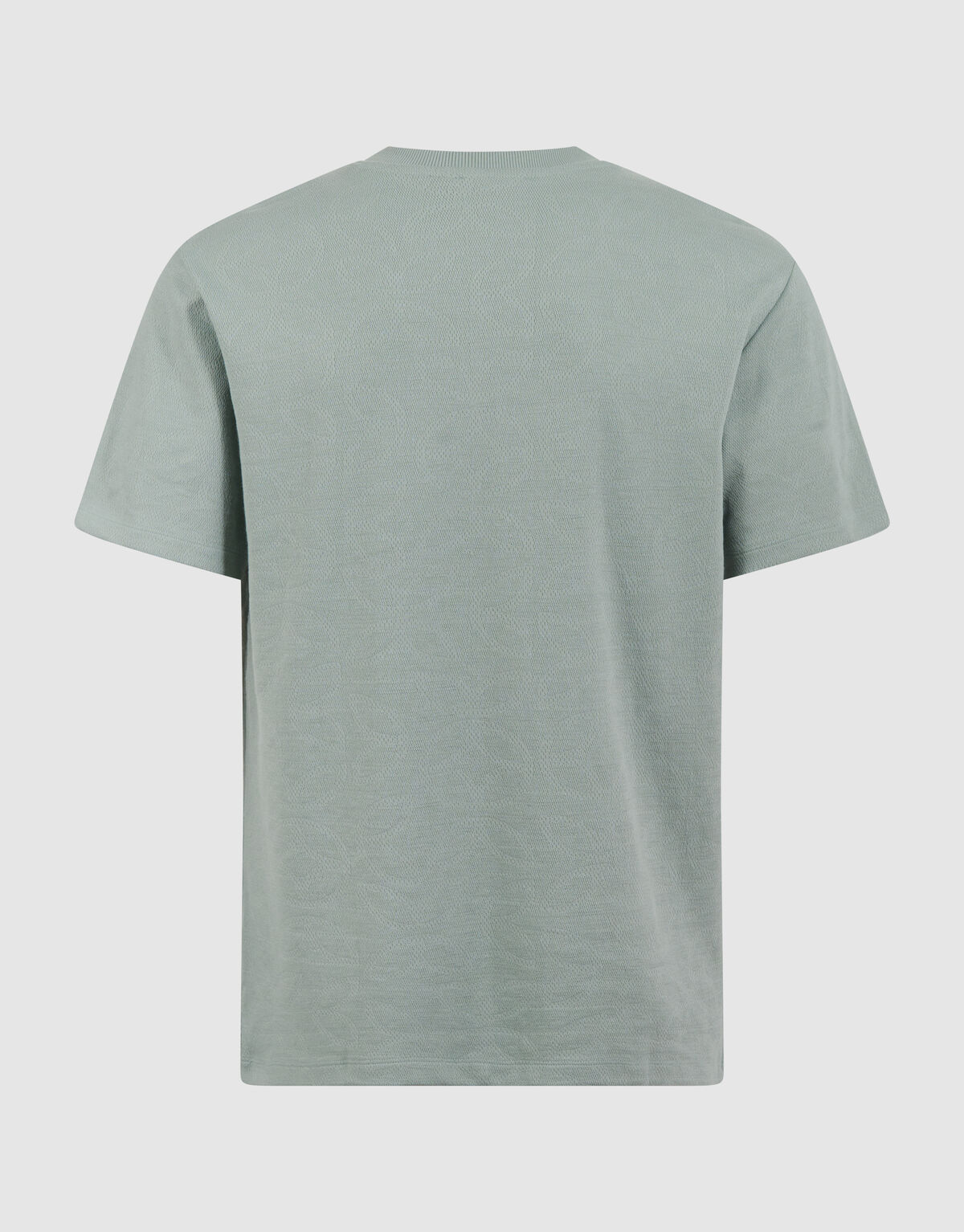 All Over Structuur T-shirt Lichtgroen SHOEBY MEN