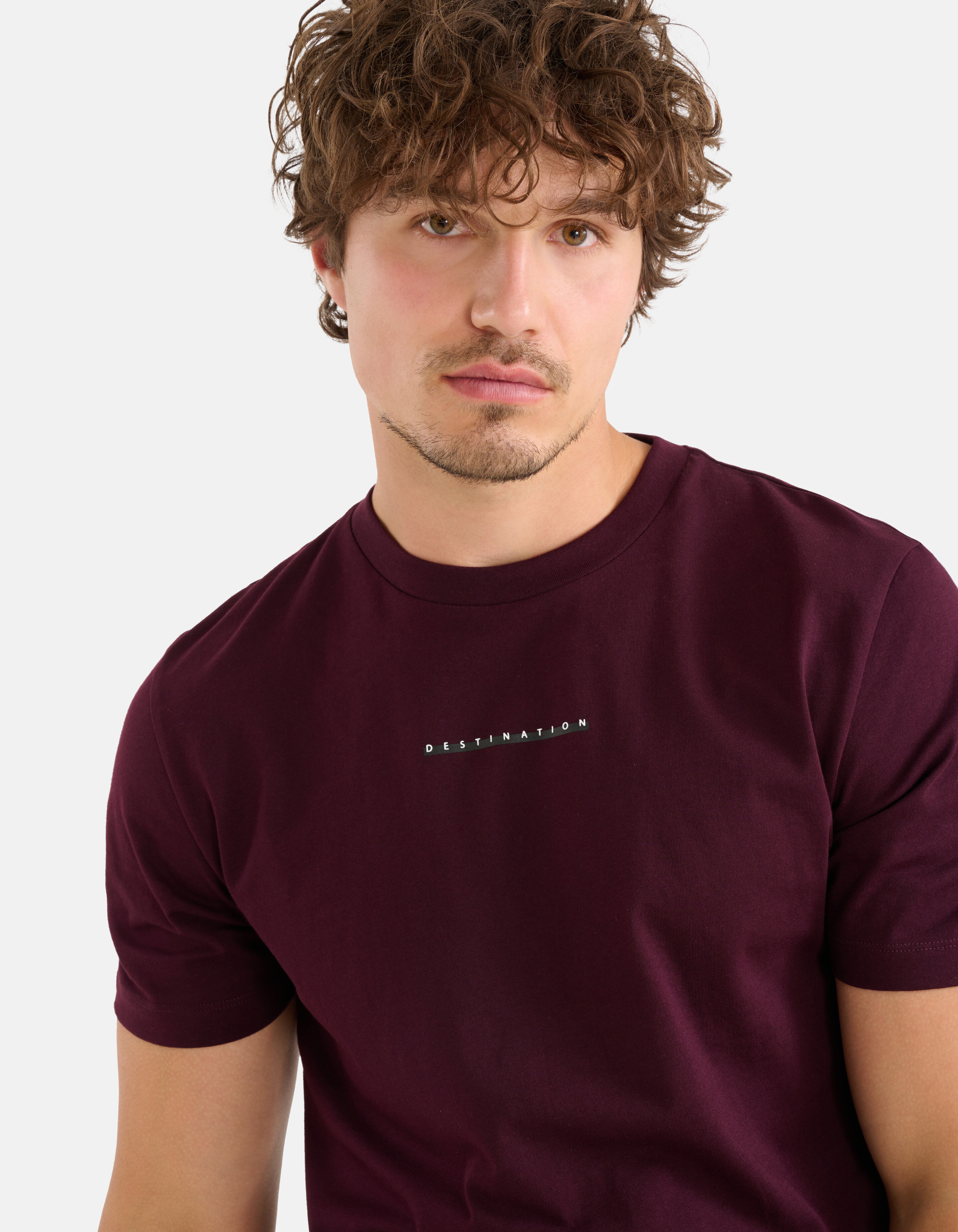 Artwork T-shirt Bordeaux SHOEBY MEN