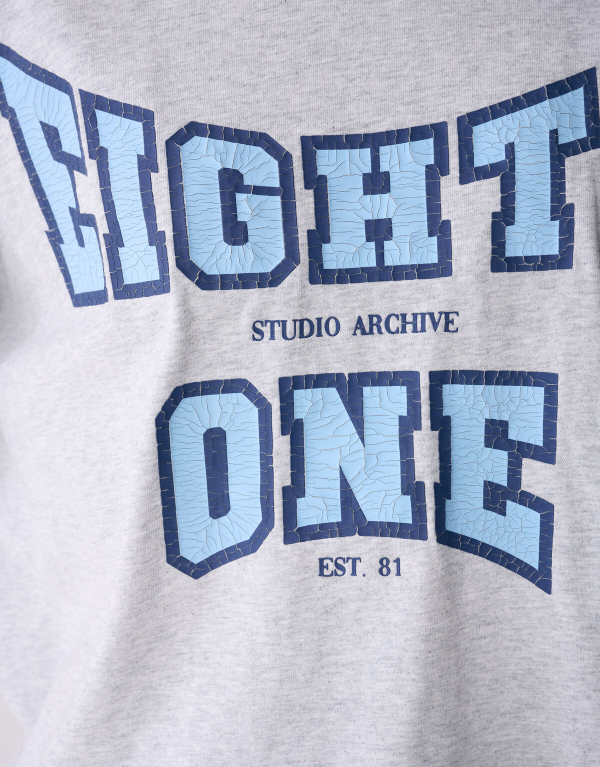 Eighty One Artwork T-shirt Lichtgrijs SHOEBY WOMEN