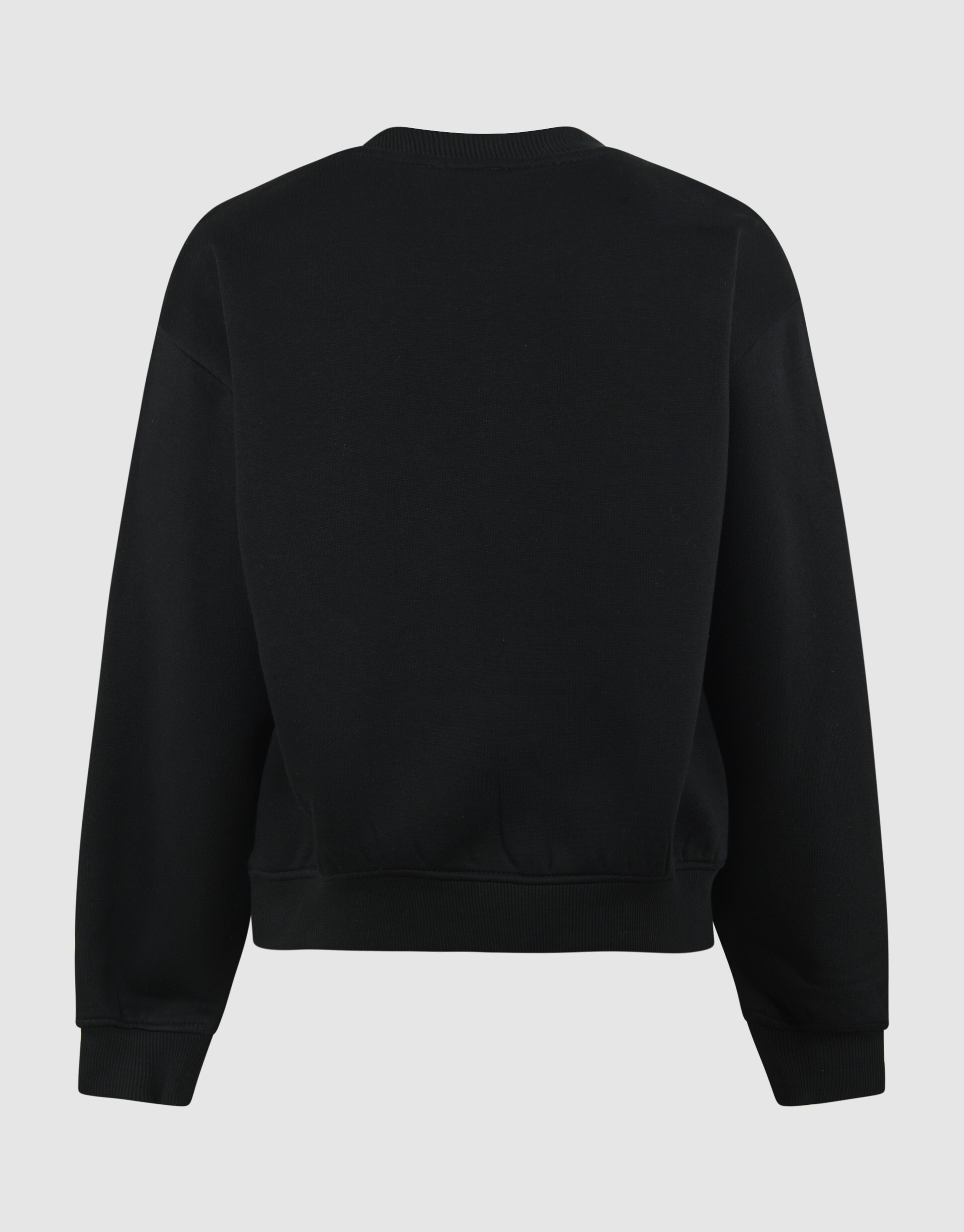 Tiger Artwork Sweater Zwart SHOEBY GIRLS