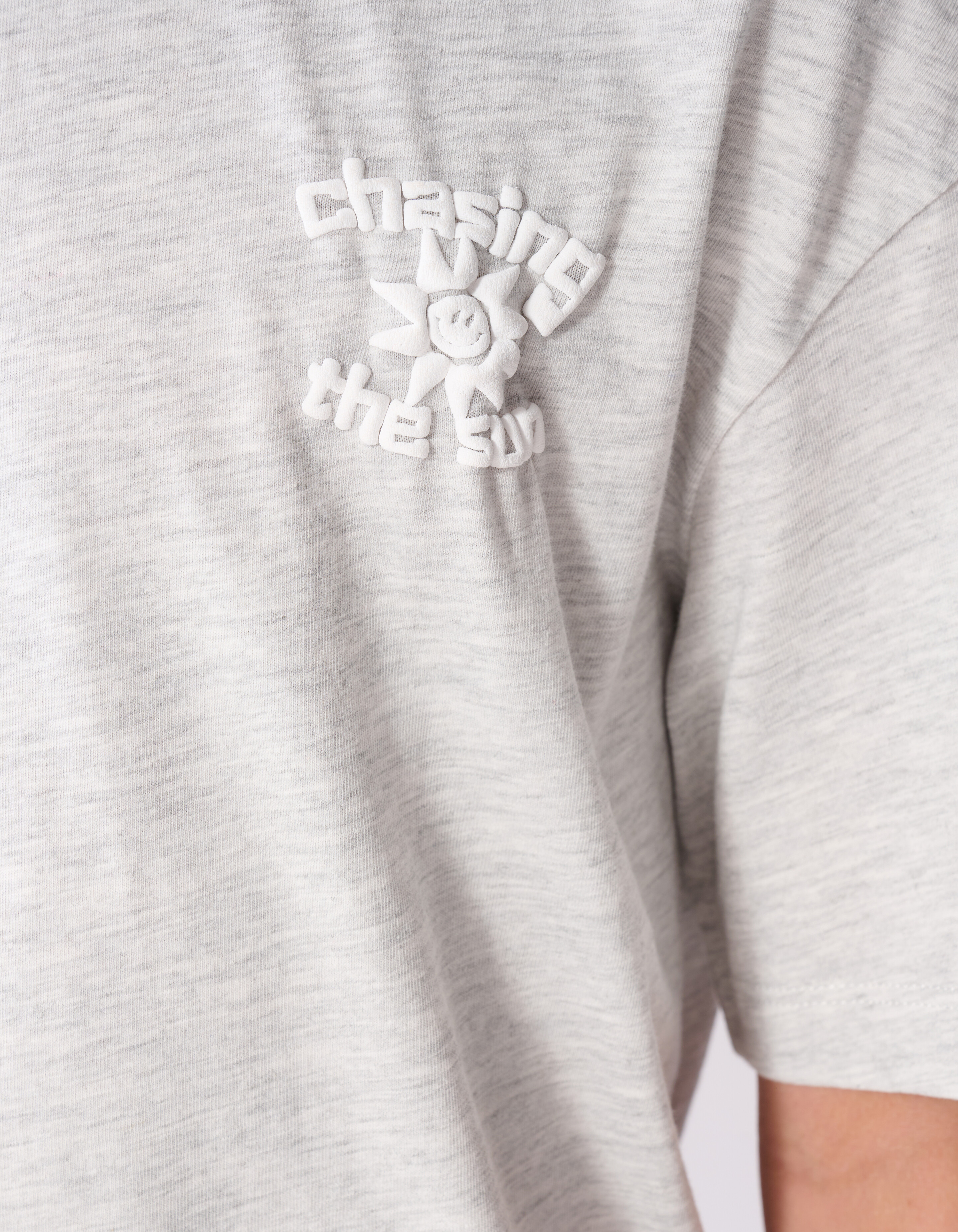 Chasing Artwork T-shirt Lichtgrijs SHOEBY BOYS