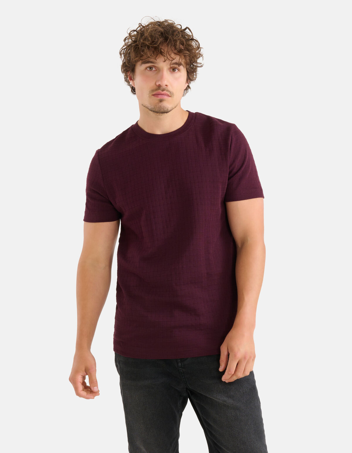 Structuur T-shirt Bordeaux SHOEBY MEN