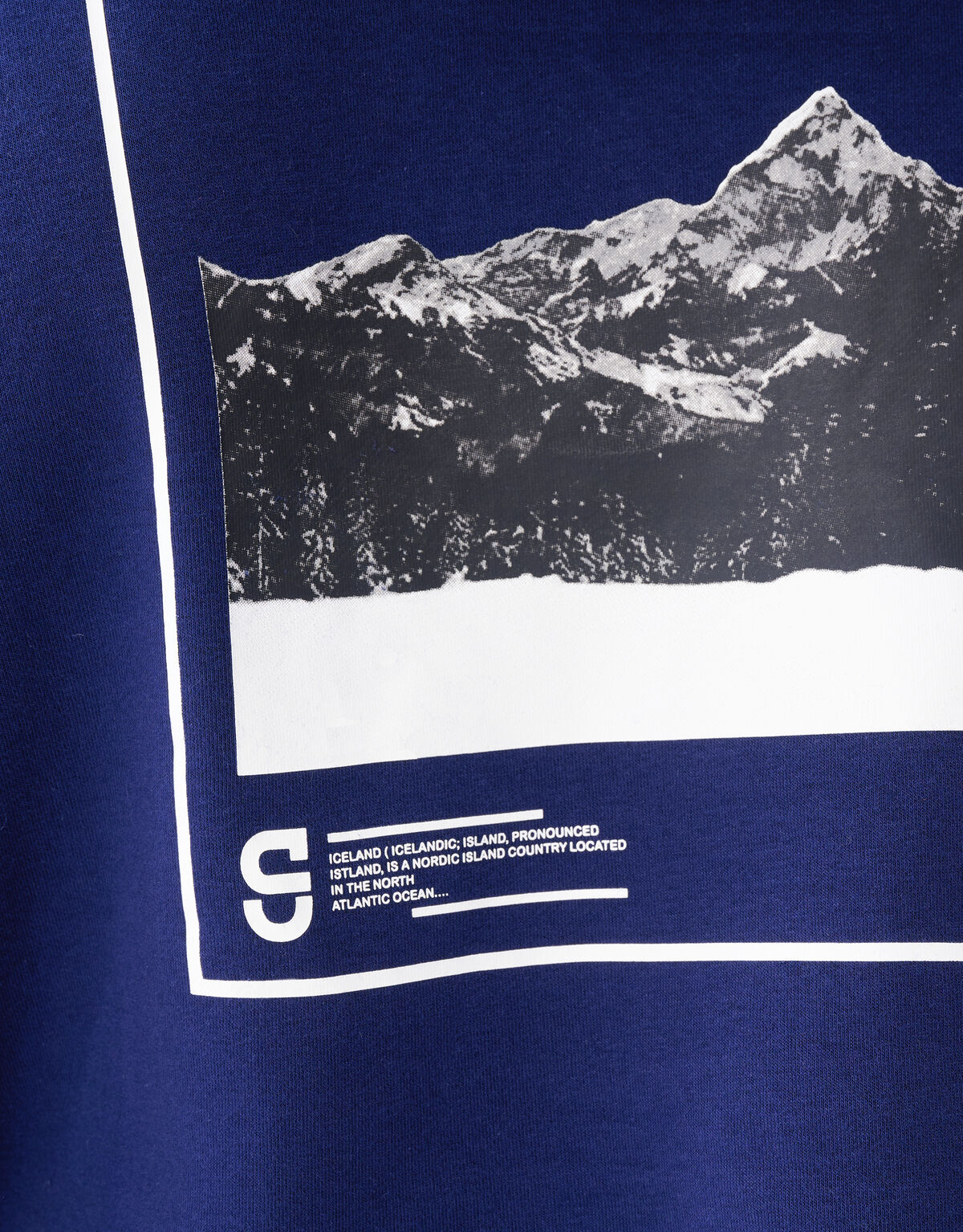 Artwork Hoodie Donkerblauw SHOEBY MEN