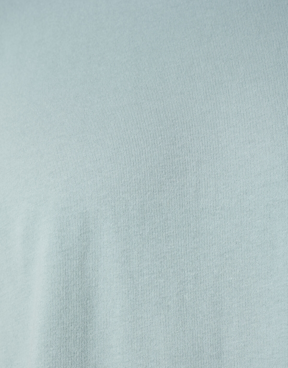 Brushed T-shirt Grijs SHOEBY MEN