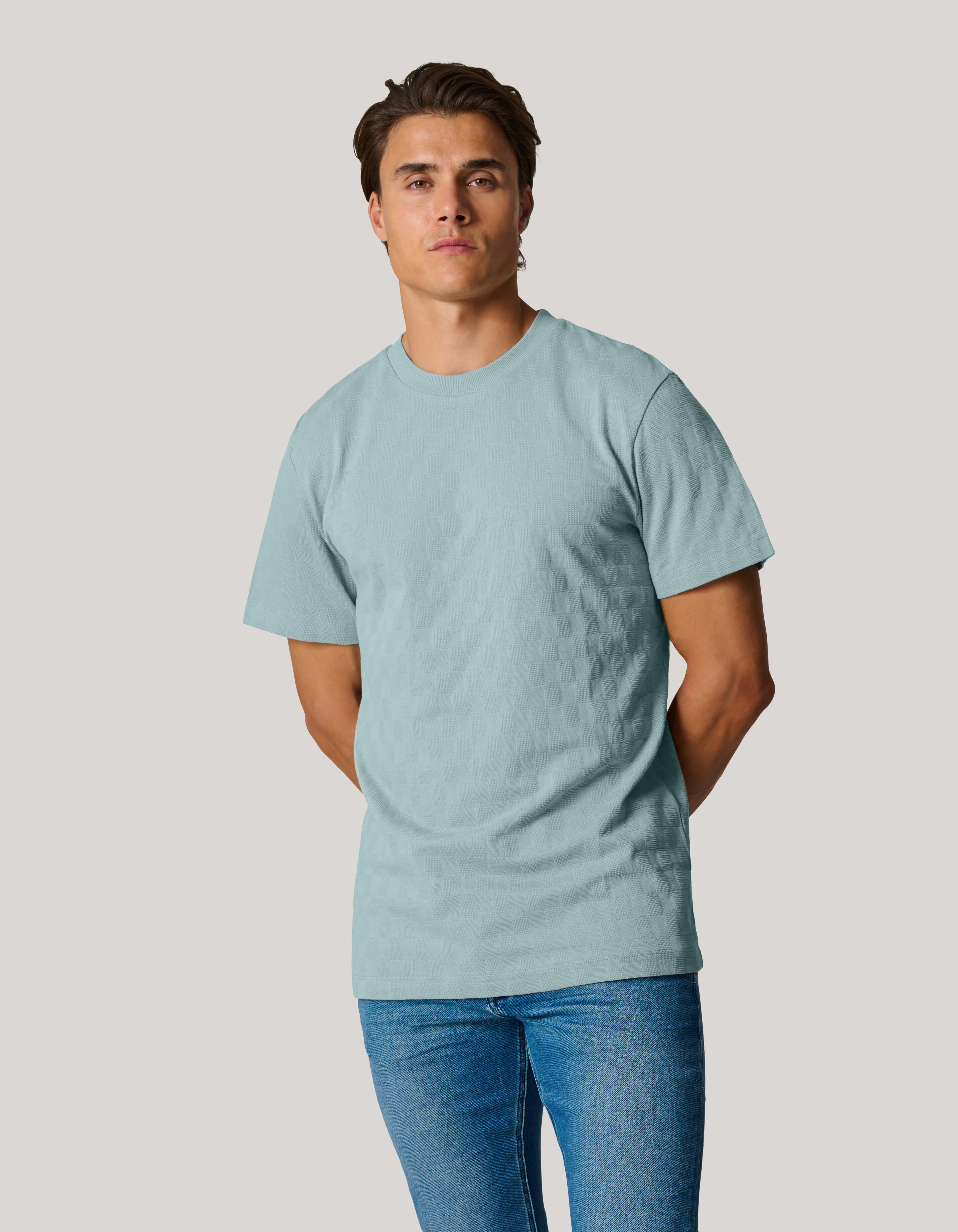 Block Structuur T-shirt Lichtgrijs SHOEBY MEN