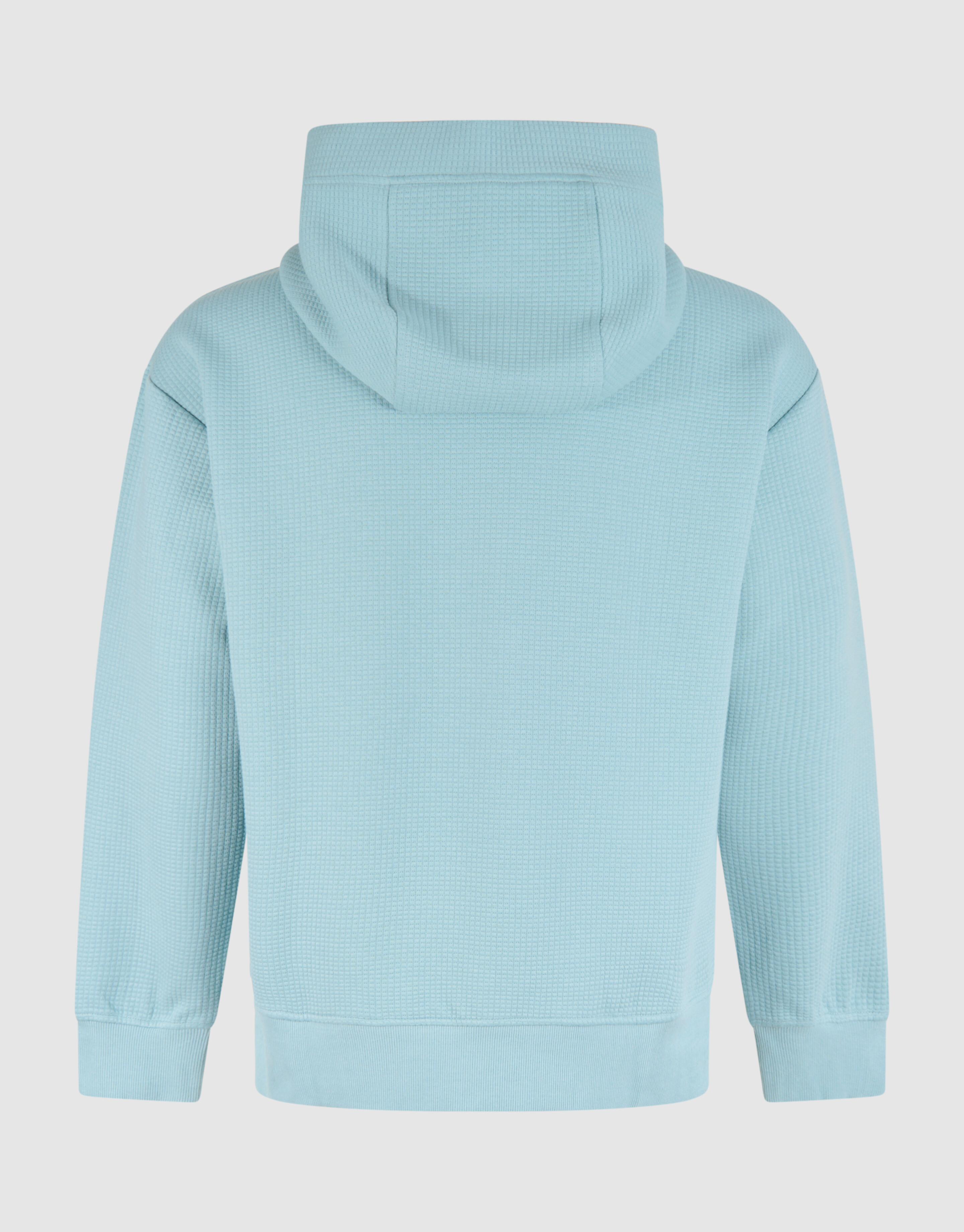 Jacquard Hoodie Lichtblauw SHOEBY MEN