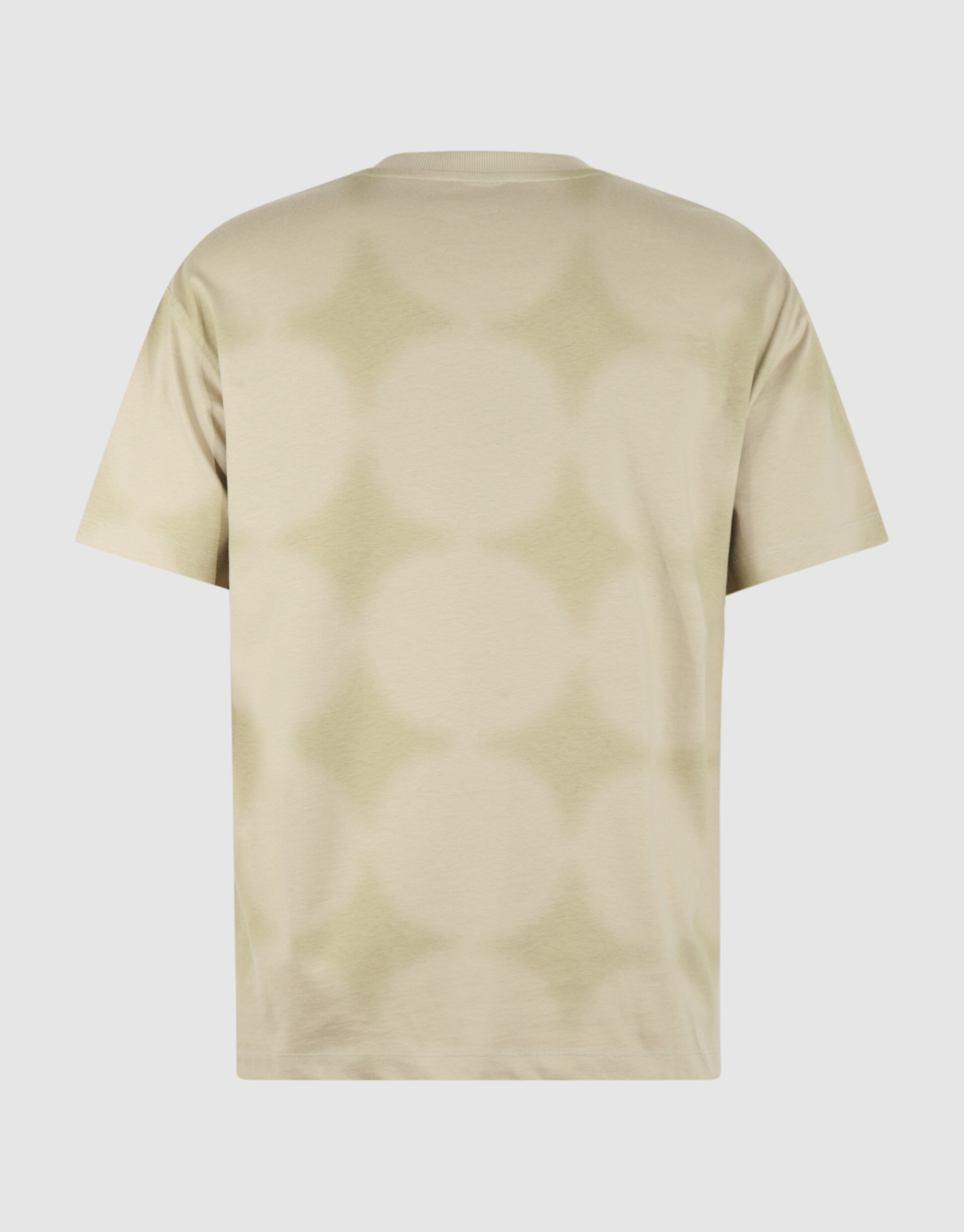 All Over Spark Artwork T-shirt Lichtgroen SHOEBY MEN