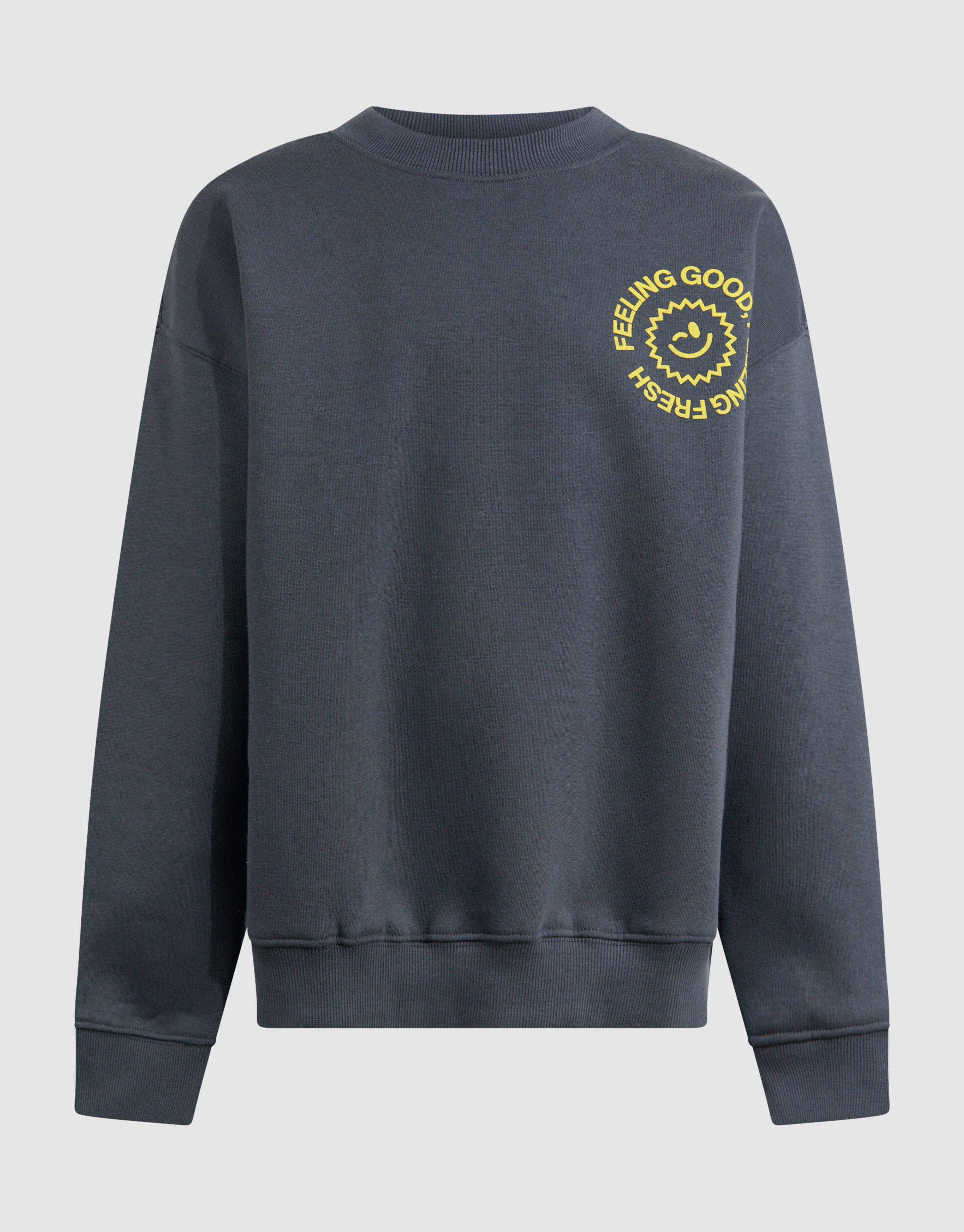 Fresh Artwork Sweater Grijs SHOEBY BOYS