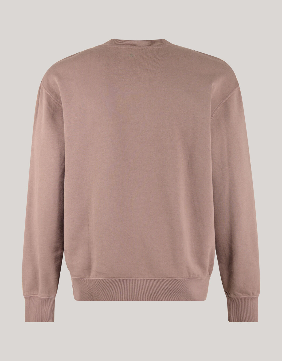 Artwork Sweater Bruin SHOEBY MEN