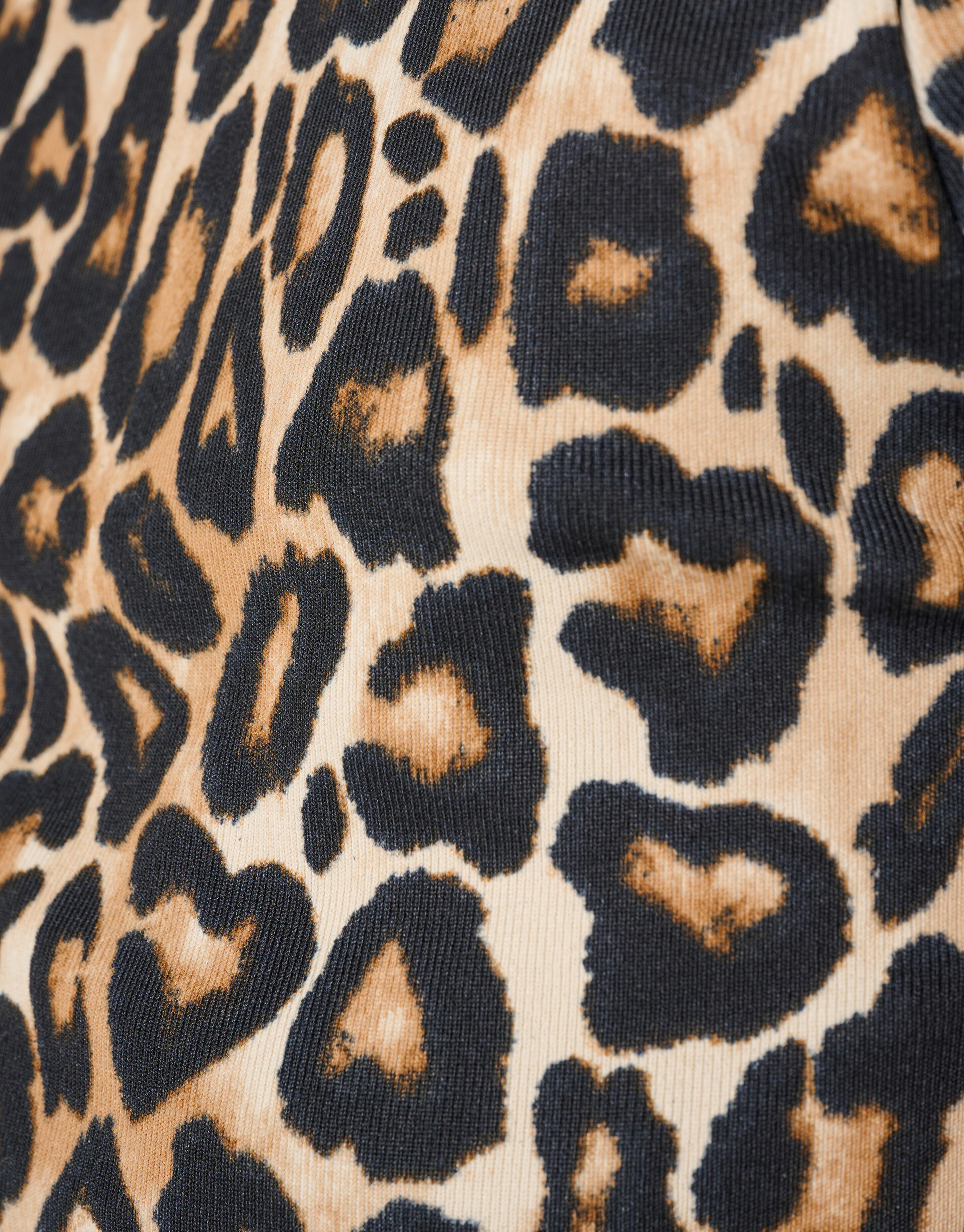 Leopard Crop Top SHOEBY GIRLS